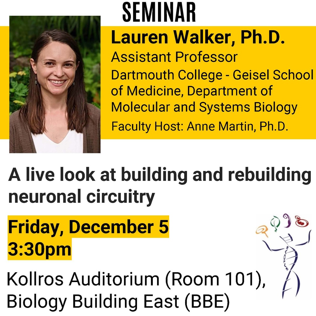 Biology Seminar: "A live look at building and rebuilding neuronal circuitry" promotional image